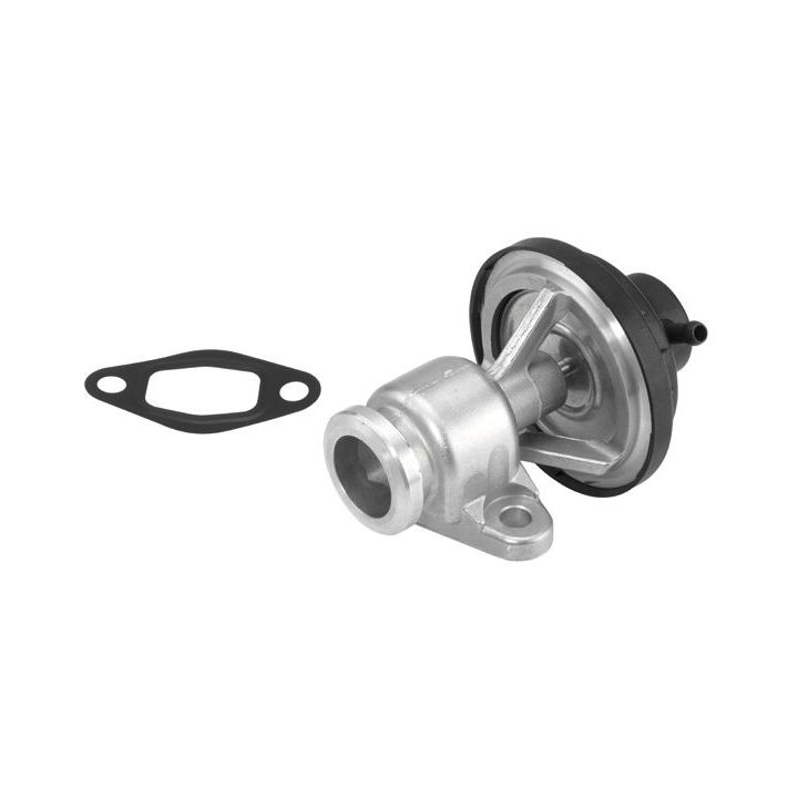 ERG vožtuvas BorgWarner (Wahler) 710570D