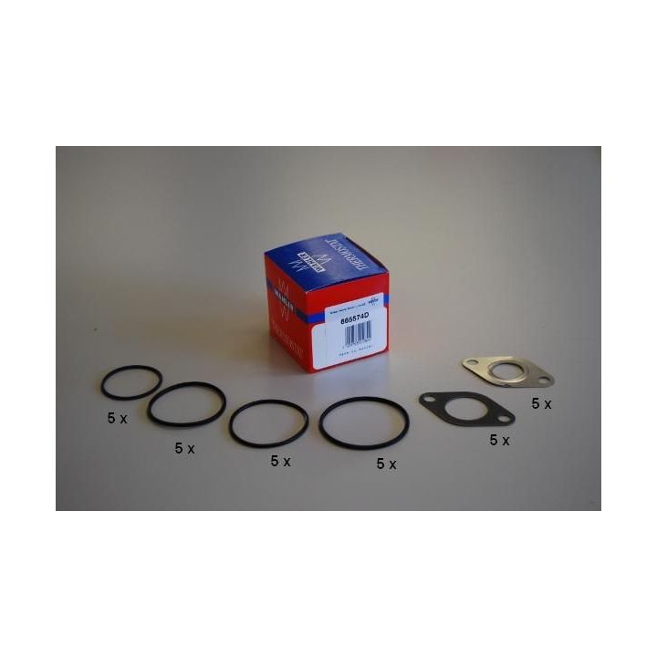 Tarpiklis BorgWarner (Wahler) 665574D