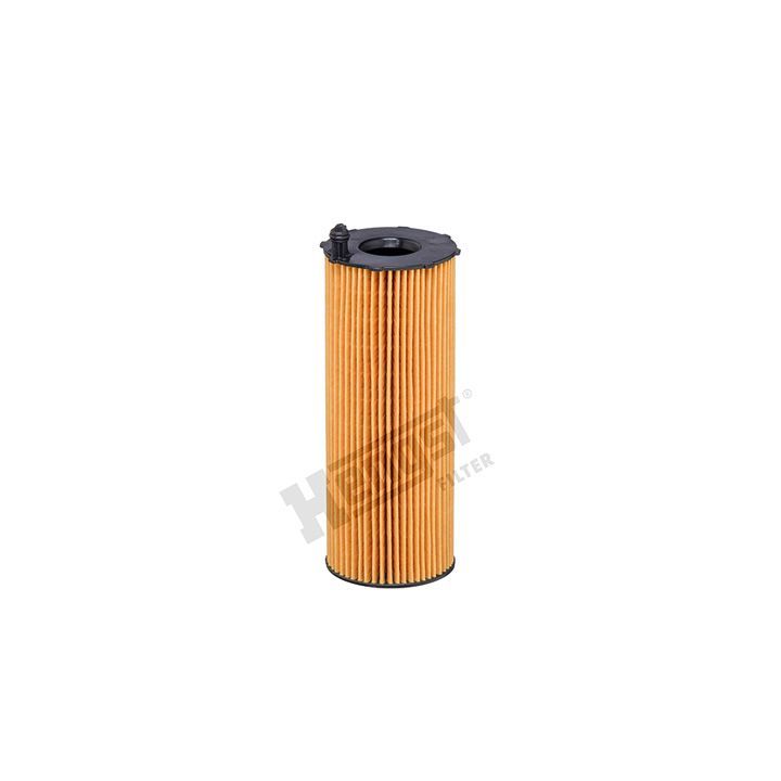 Alyvos filtras HENGST FILTER E838H D329