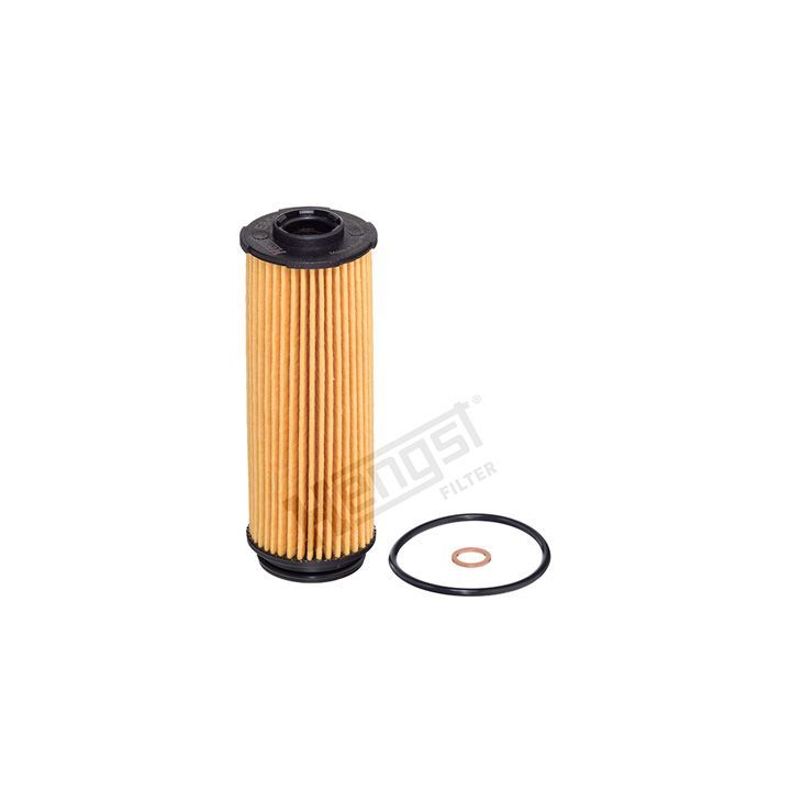 Alyvos filtras HENGST FILTER E859H D352