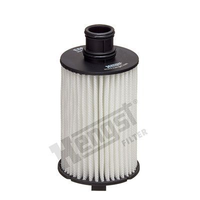 Alyvos filtras HENGST FILTER E863H D360