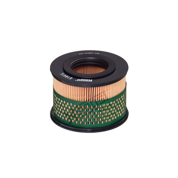 Oro filtras HENGST FILTER E1841L