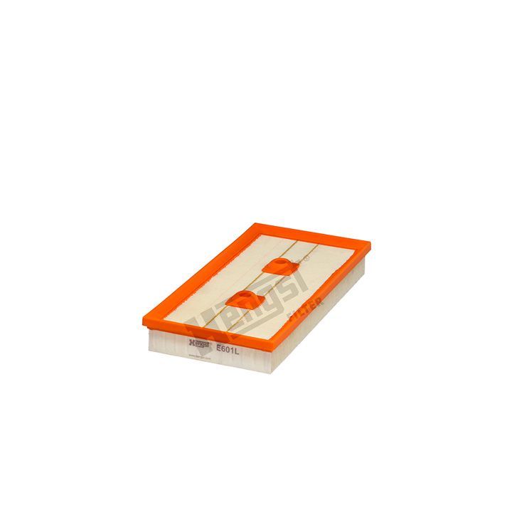 Oro filtras HENGST FILTER E601L