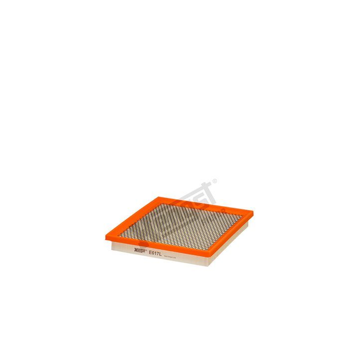 Oro filtras HENGST FILTER E617L