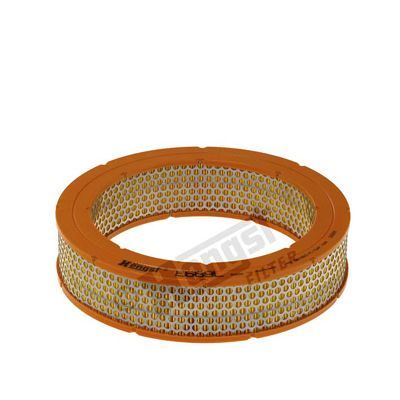 Oro filtras HENGST FILTER E669L