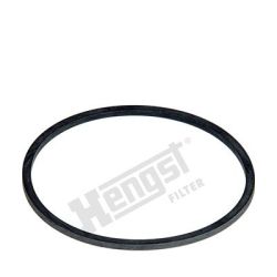 Tarpiklis HENGST FILTER D10