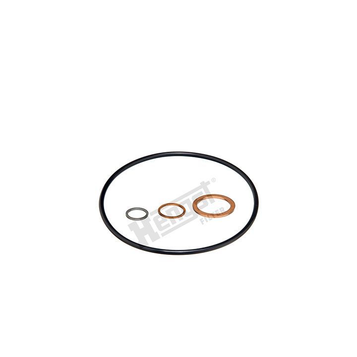 Tarpiklis HENGST FILTER D11