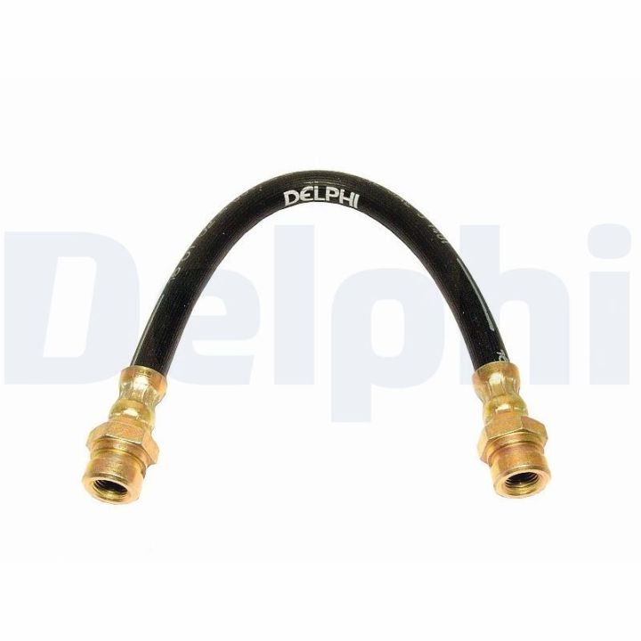 Stabdžių žarnelė DELPHI LH6165