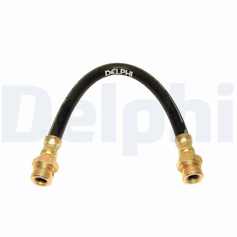 Stabdžių žarnelė DELPHI LH6165