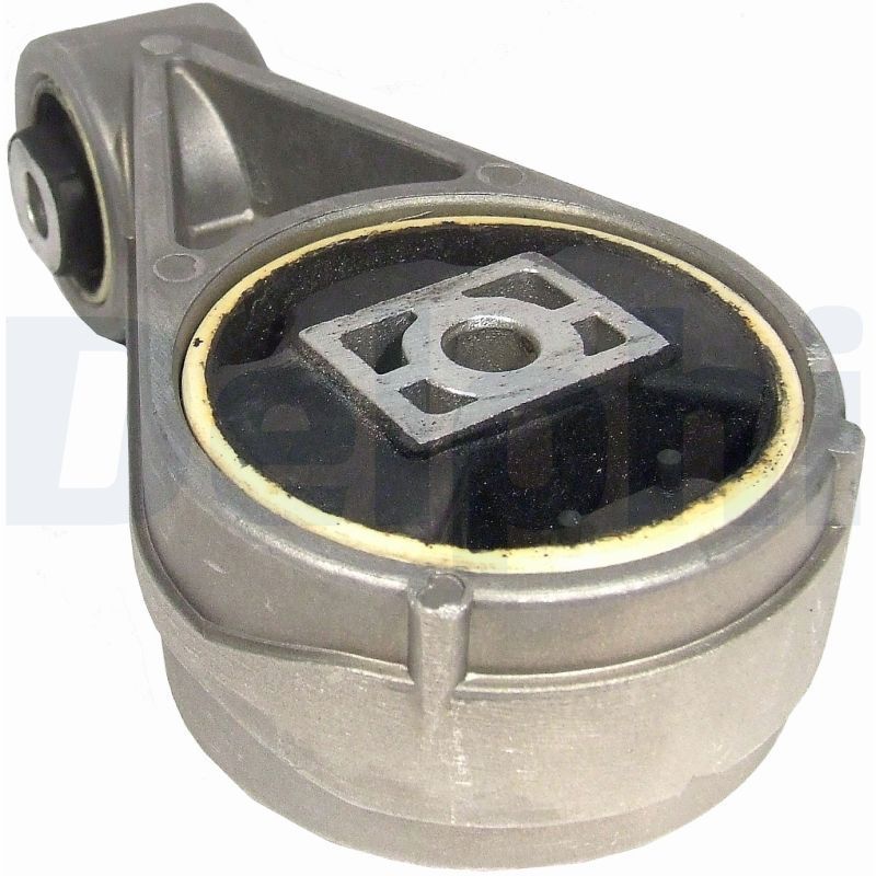 Variklio montavimas DELPHI TEM005