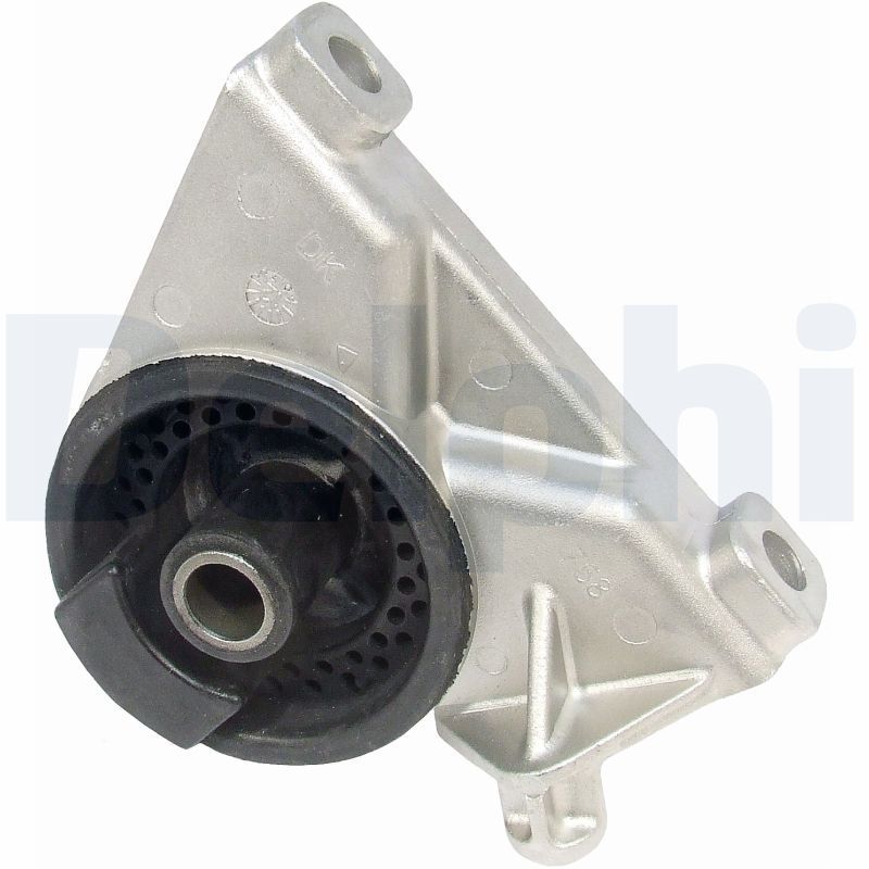 Variklio montavimas DELPHI TEM010