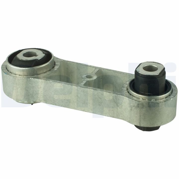 Variklio montavimas DELPHI TEM025