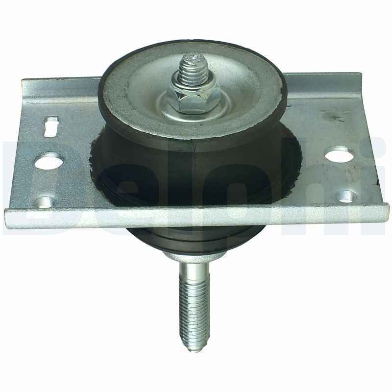 Variklio montavimas DELPHI TEM026