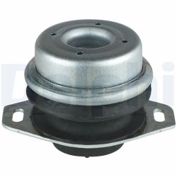 Variklio montavimas DELPHI TEM033