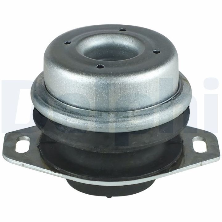 Variklio montavimas DELPHI TEM033