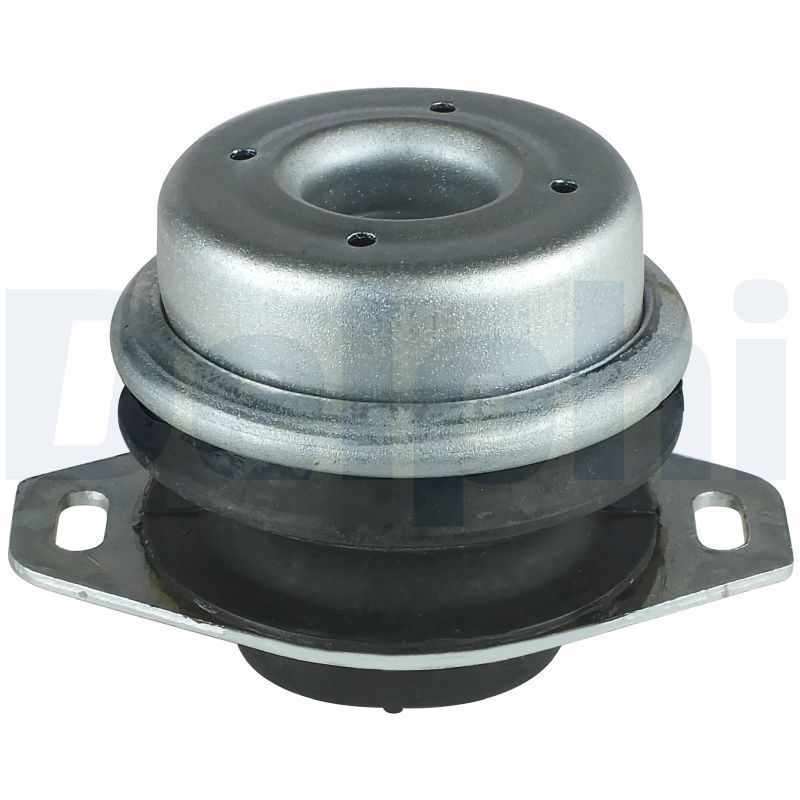 Variklio montavimas DELPHI TEM033