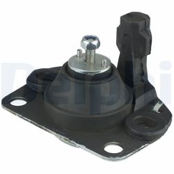 Variklio montavimas DELPHI TEM038