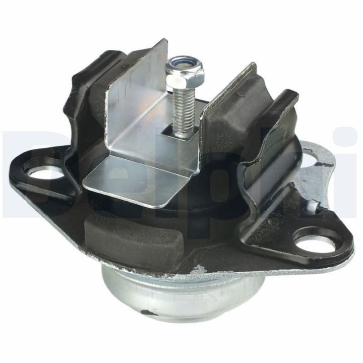 Variklio montavimas DELPHI TEM048