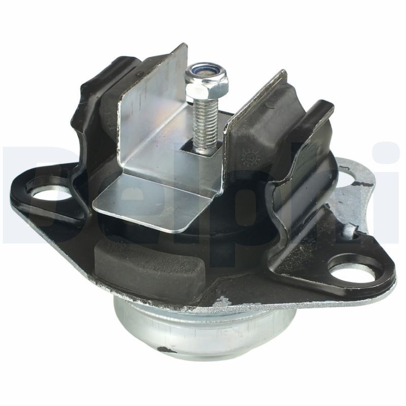 Variklio montavimas DELPHI TEM048