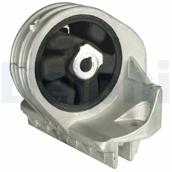 Variklio montavimas DELPHI TEM050