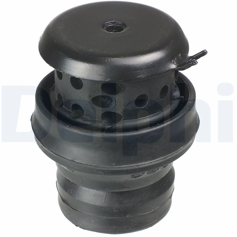 Variklio montavimas DELPHI TEM058