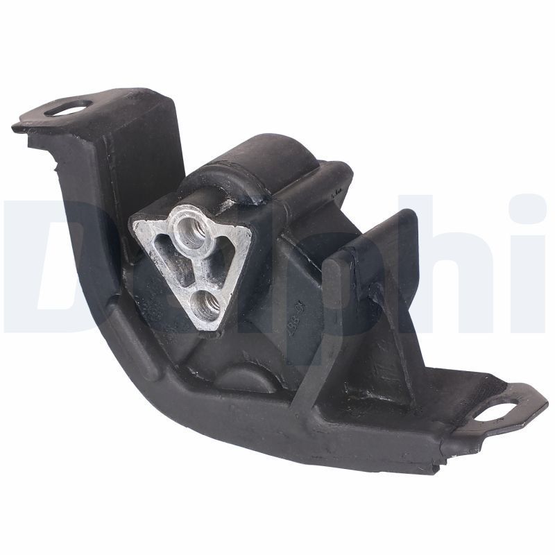 Variklio montavimas DELPHI TEM060