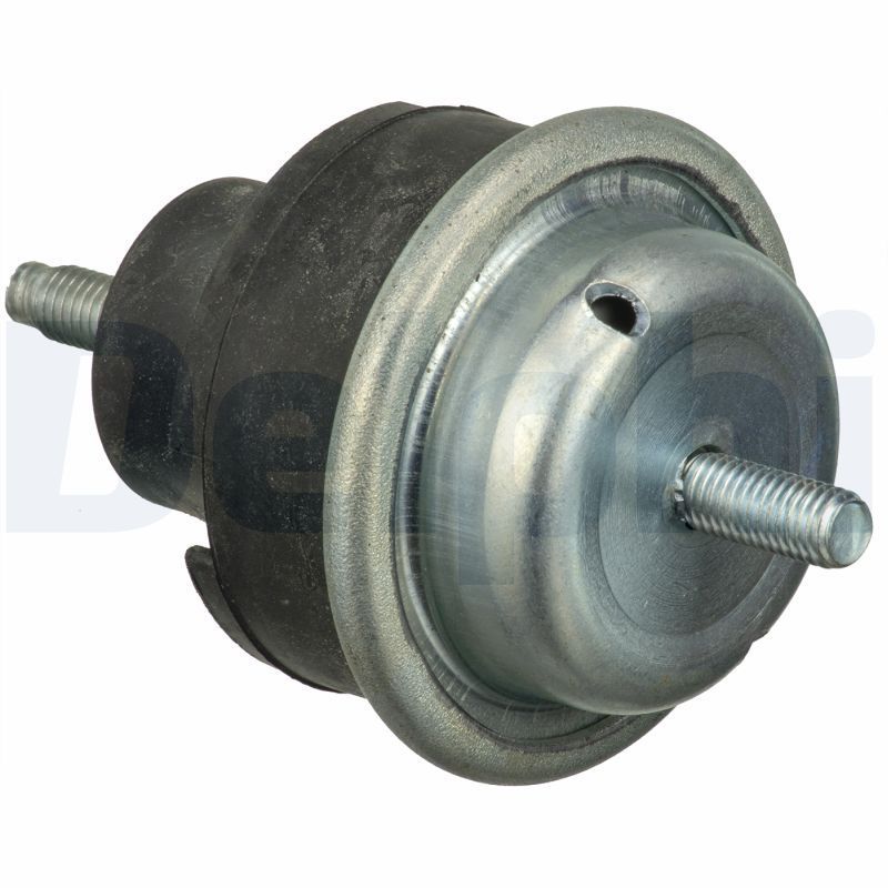 Variklio montavimas DELPHI TEM072