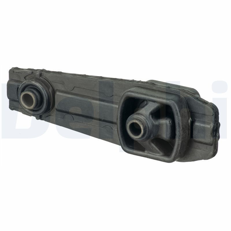 Variklio montavimas DELPHI TEM073