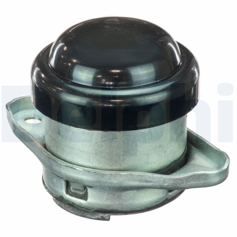 Variklio montavimas DELPHI TEM077