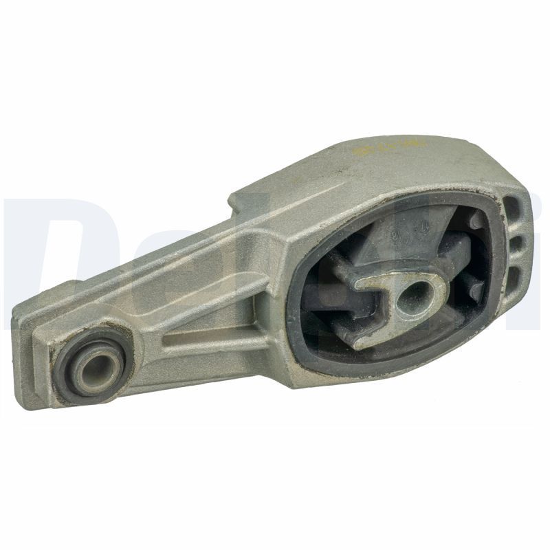 Variklio montavimas DELPHI TEM081