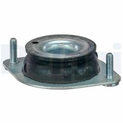 Variklio montavimas DELPHI TEM103