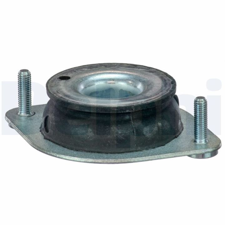 Variklio montavimas DELPHI TEM103