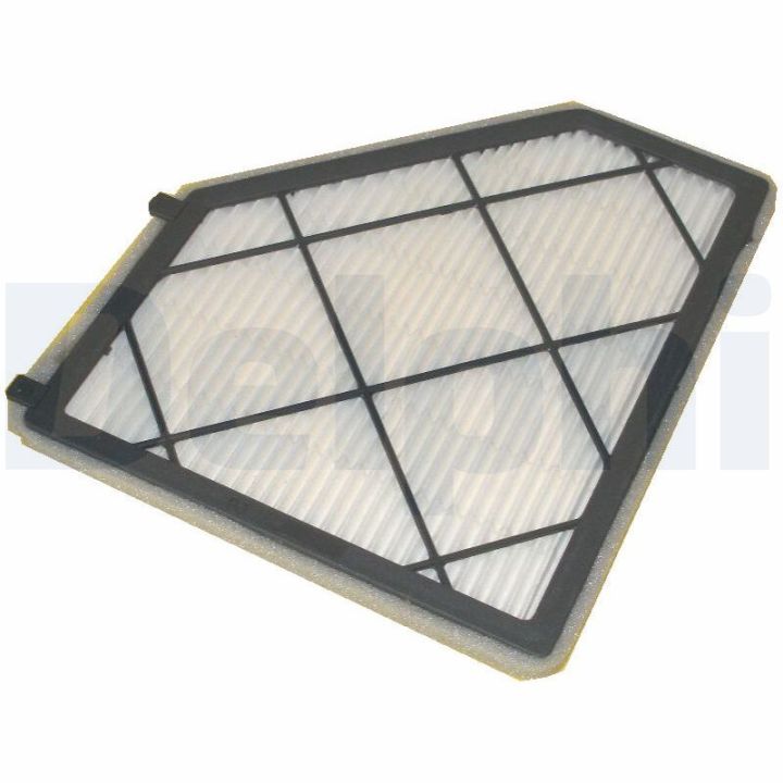 Filtras, salono oras DELPHI TSP0325089