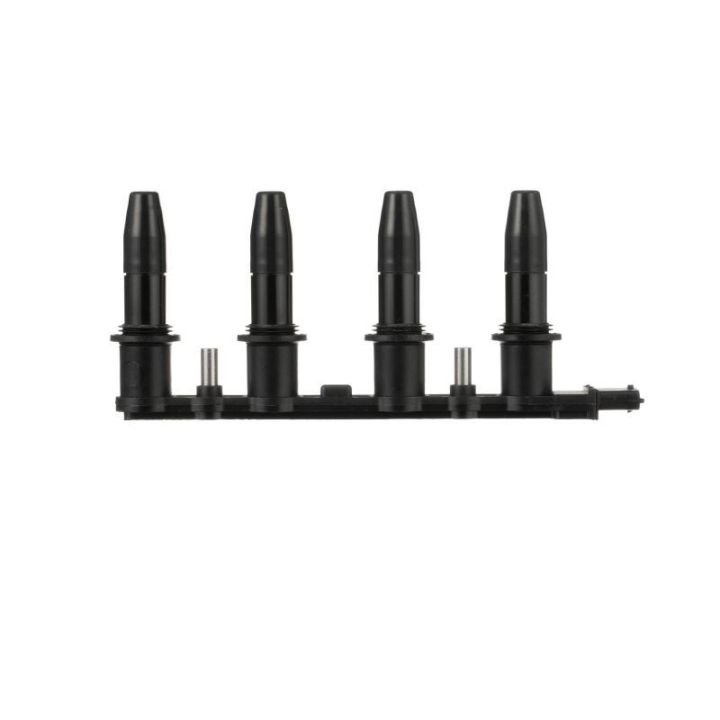 Ritė, uždegimas DELPHI CE20009-12B1