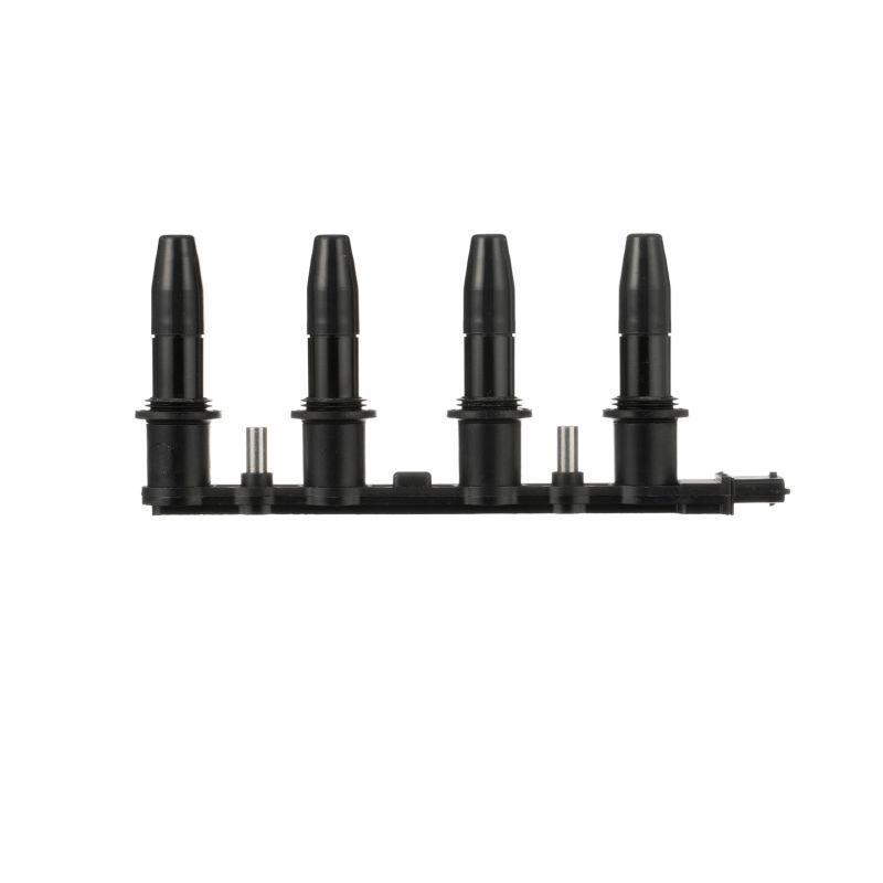 Ritė, uždegimas DELPHI CE20009-12B1