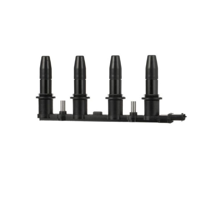 Ritė, uždegimas DELPHI CE20009-12B1