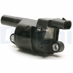 Ritė, uždegimas DELPHI GN10165-12B1