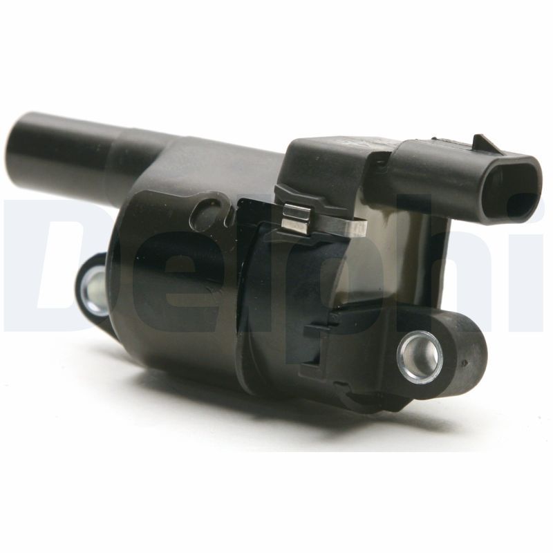 Ritė, uždegimas DELPHI GN10165-12B1