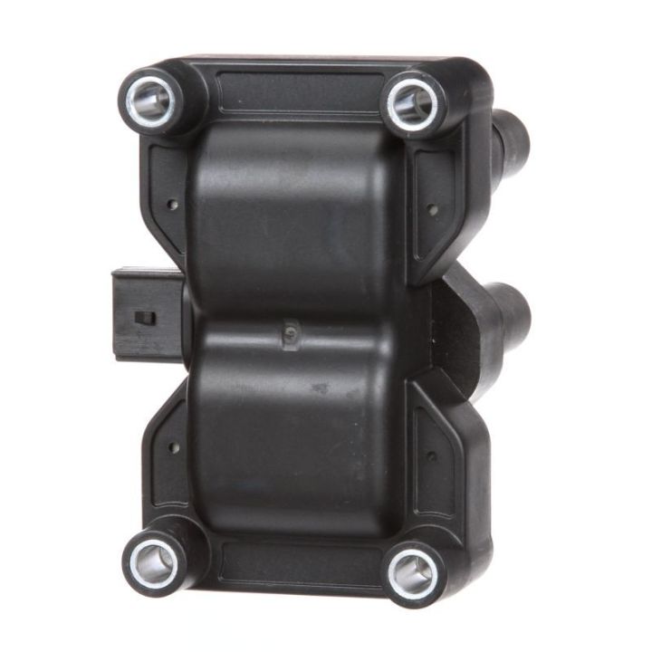 Ritė, uždegimas DELPHI GN10205-12B1