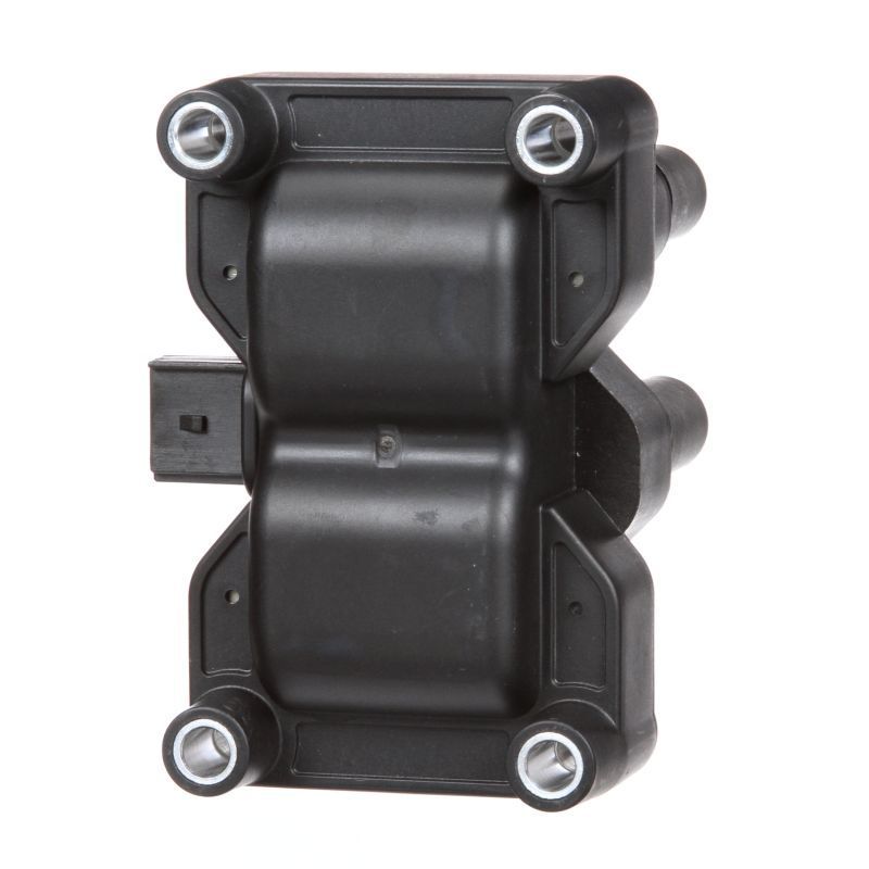 Ritė, uždegimas DELPHI GN10205-12B1