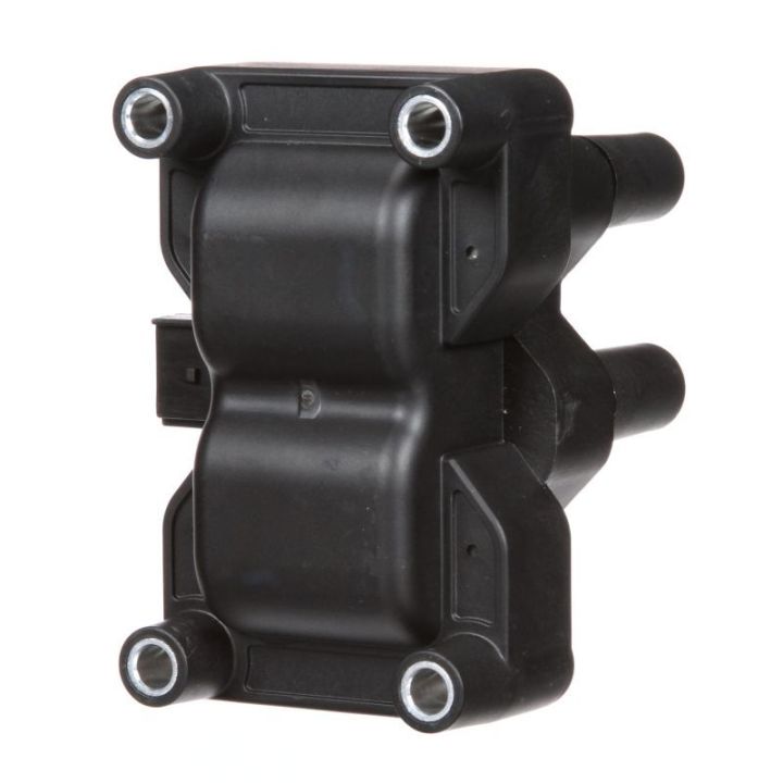 Ritė, uždegimas DELPHI GN10205-12B1