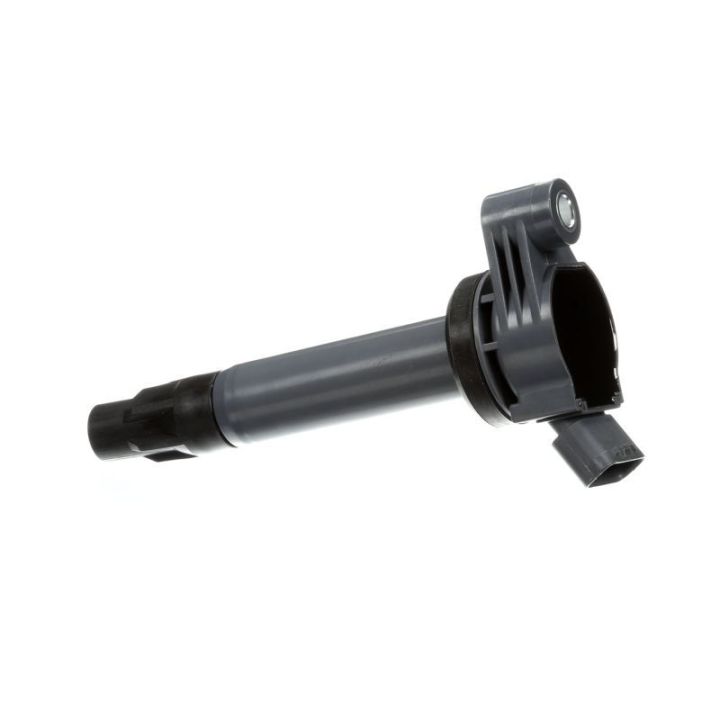 Ritė, uždegimas DELPHI GN10316-12B1