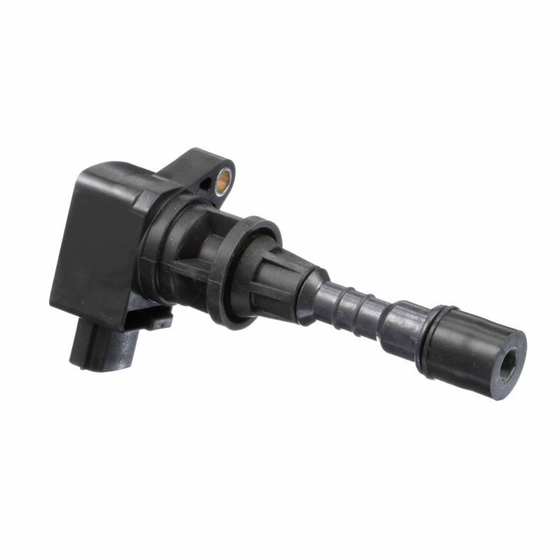 Ritė, uždegimas DELPHI GN10400-12B1