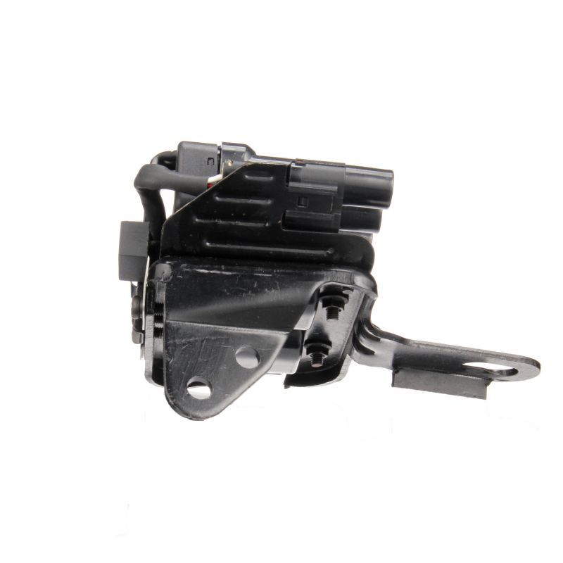 Ritė, uždegimas DELPHI GN10418-12B1