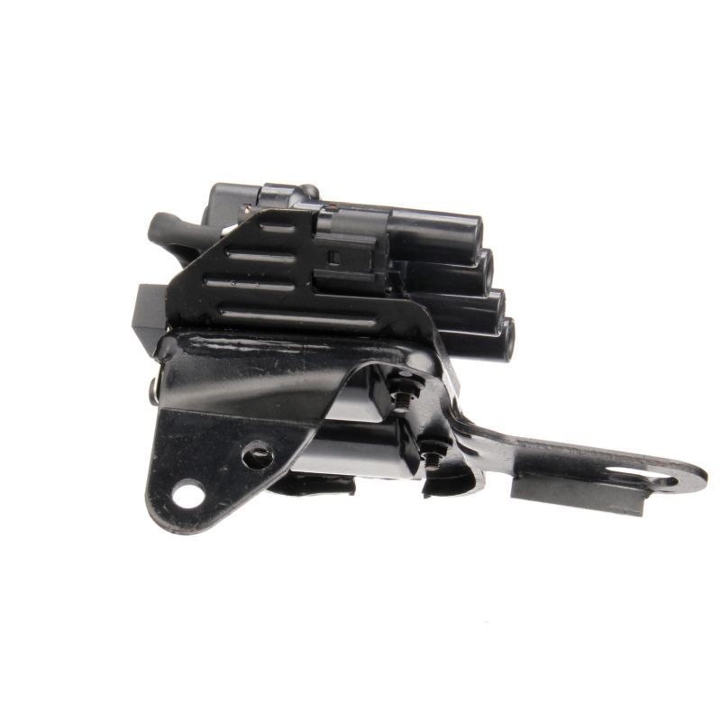 Ritė, uždegimas DELPHI GN10418-12B1