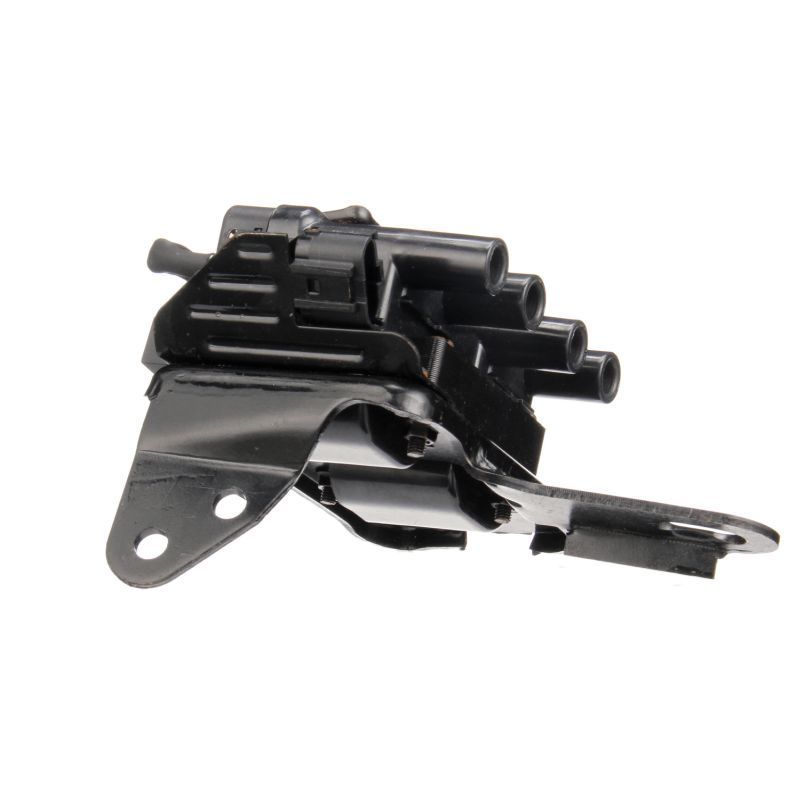 Ritė, uždegimas DELPHI GN10418-12B1