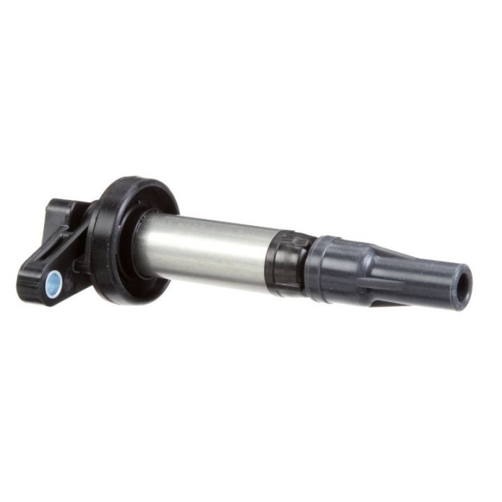 Ritė, uždegimas DELPHI GN10448-12B1