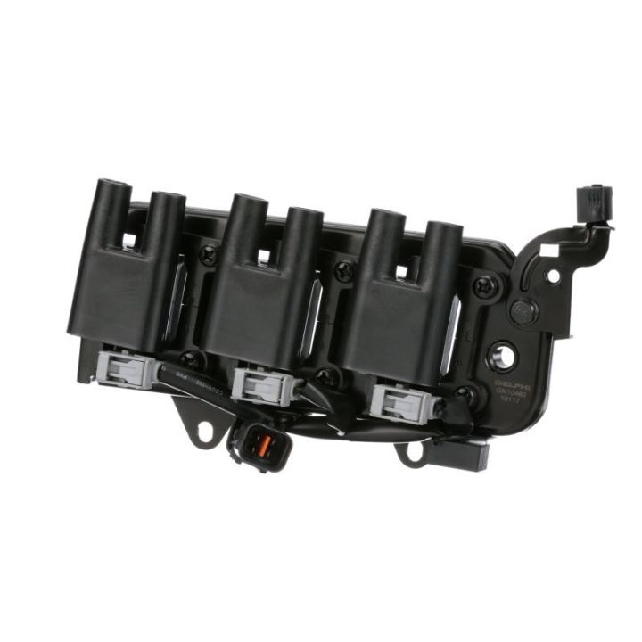 Ritė, uždegimas DELPHI GN10462-12B1