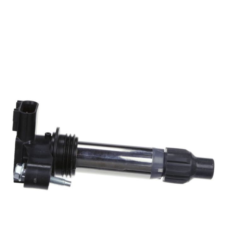 Ritė, uždegimas DELPHI GN10494-12B1