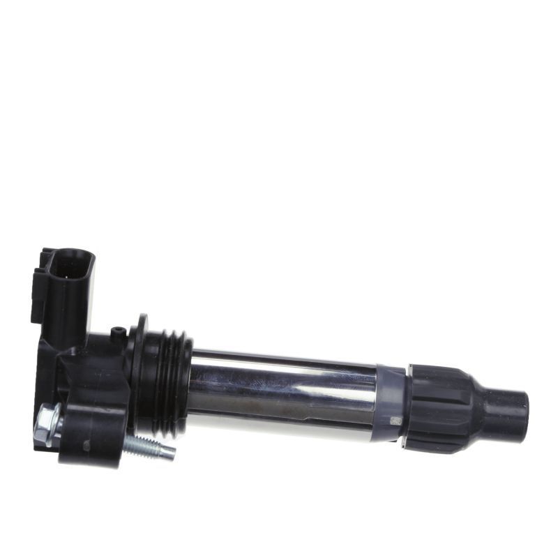 Ritė, uždegimas DELPHI GN10494-12B1